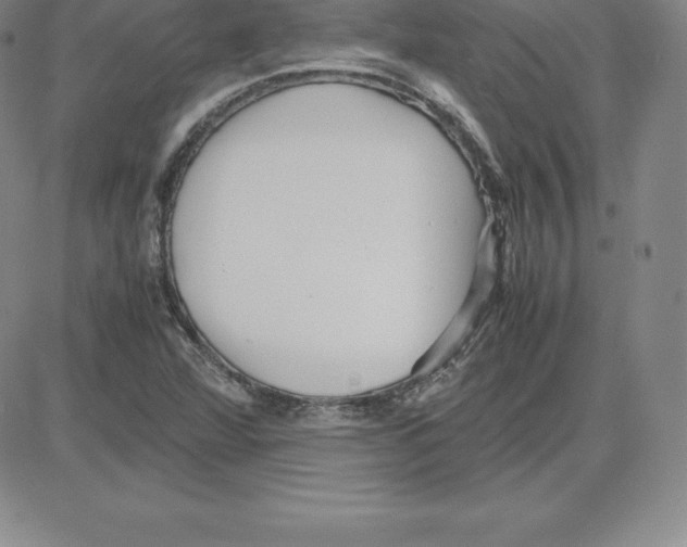 X0000080111360200701051319