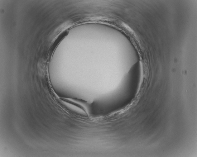 X0000080111361200701051319