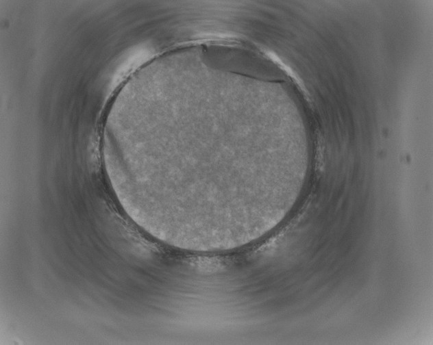 X0000080111362200701051319