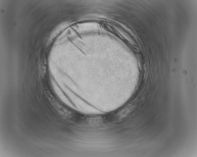 X0000080111363200701051319