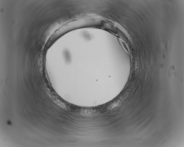 X0000080111364200701051319