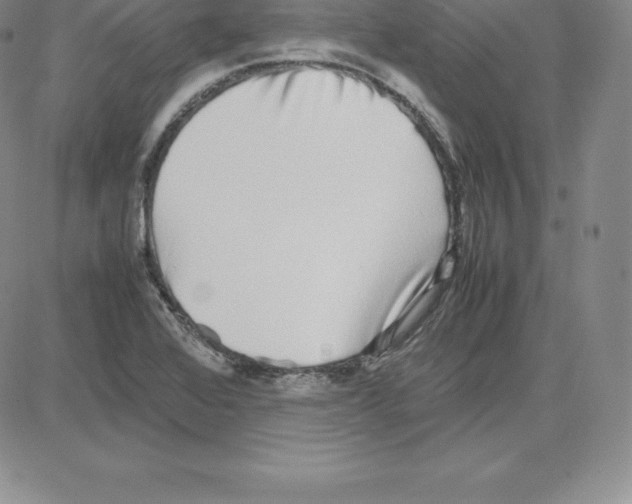 X0000080111368200701051319