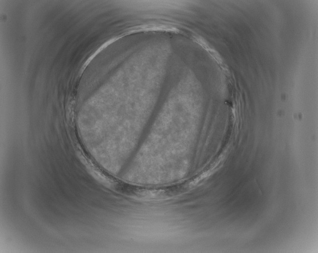 X0000080111369200701051319