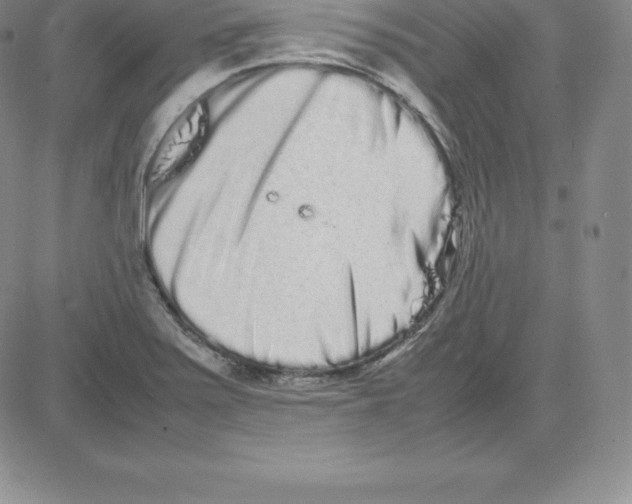 X0000080111371200701051319