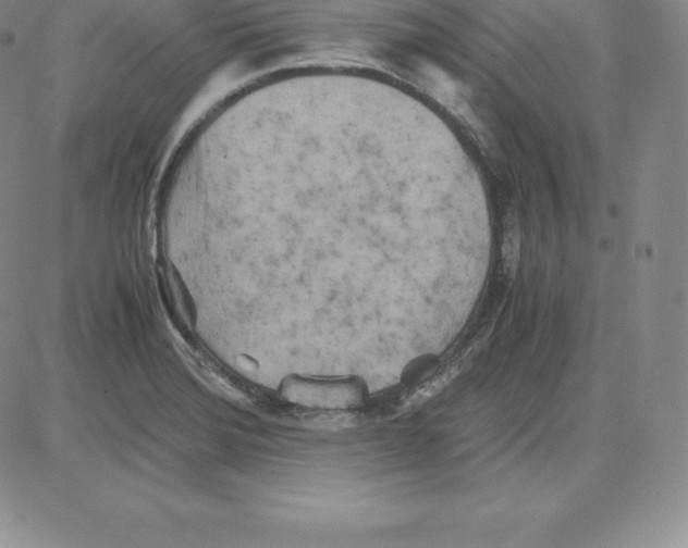 X0000080111372200701051319