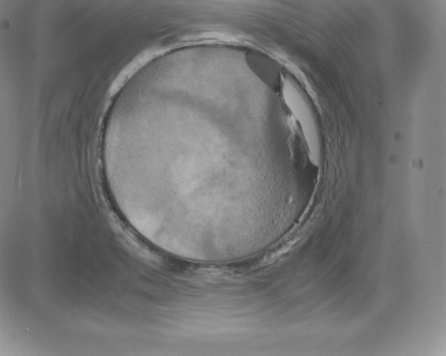 X0000080111373200701051319