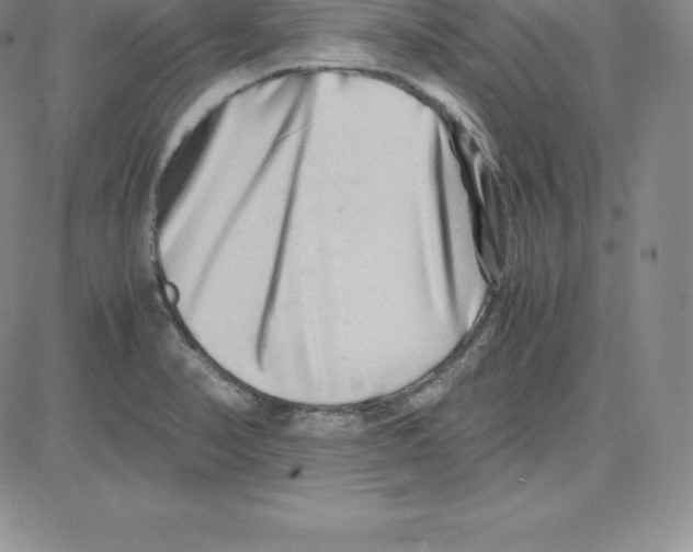 X0000080111374200701051319