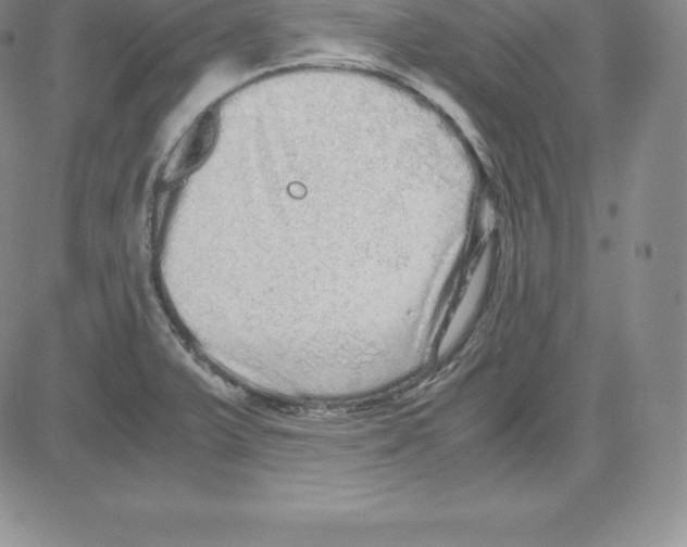 X0000080111375200701051319