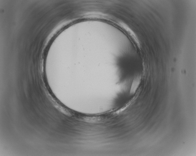 X0000080111376200701051319