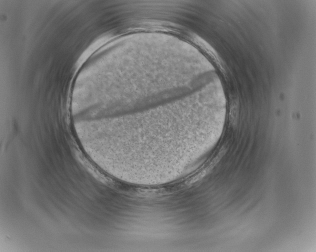 X0000080111378200701051319