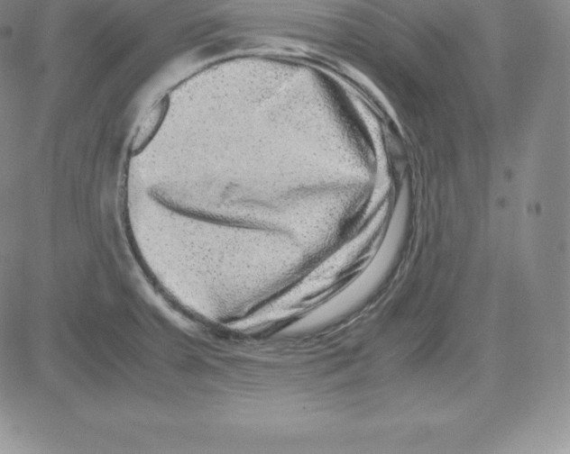 X0000080111379200701051319