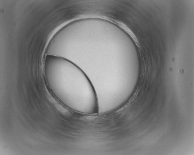 X0000080111380200701051319