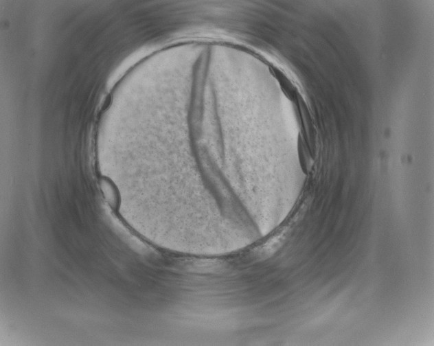 X0000080111382200701051319