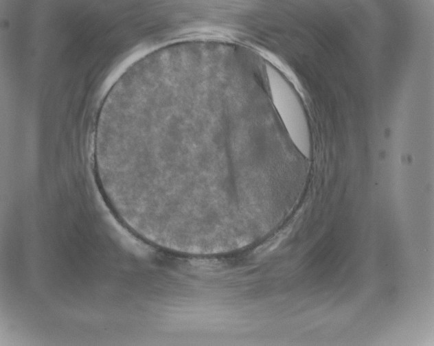 X0000080111383200701051319