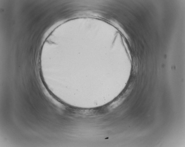 X0000080111387200701051319