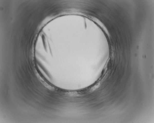 X0000080111388200701051319