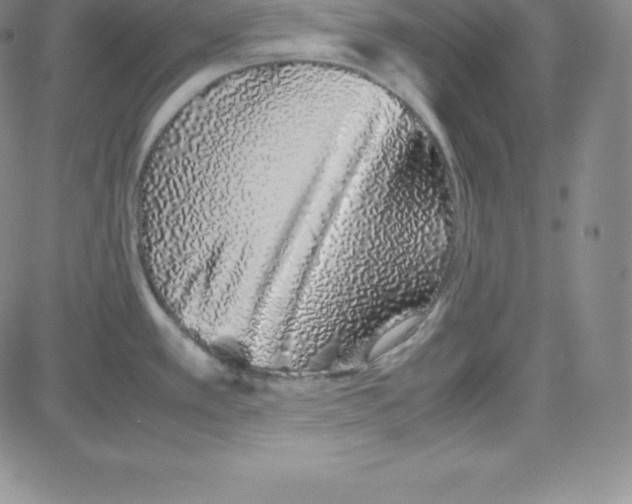 X0000080111389200701051319