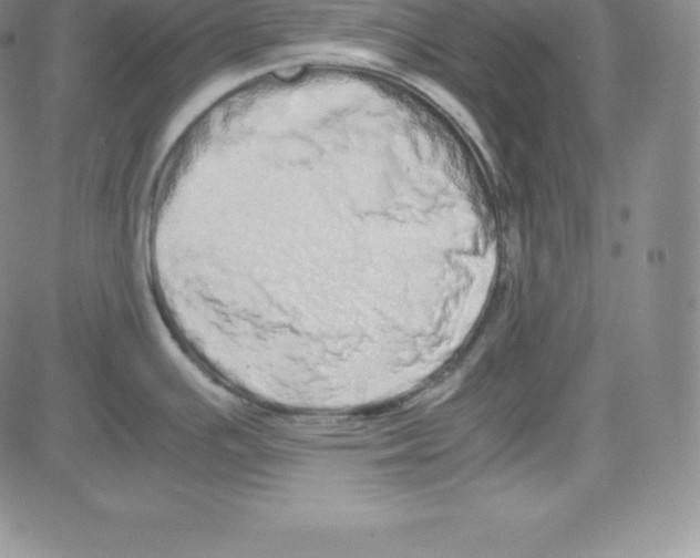 X0000080111391200701051318