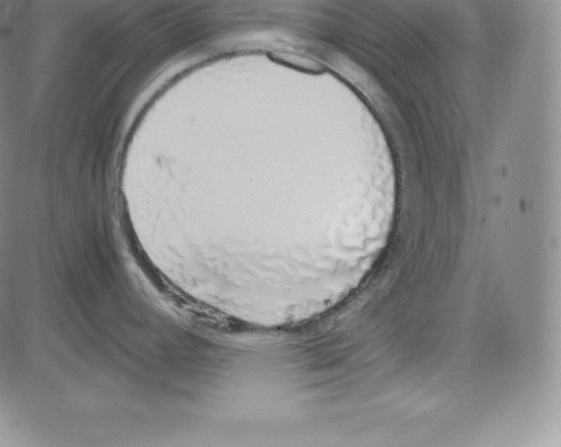 X0000080111392200701051318