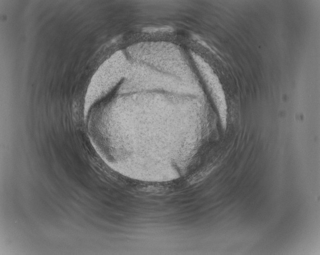 X0000080111395200701051318