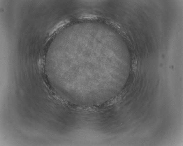 X0000080111397200701051318