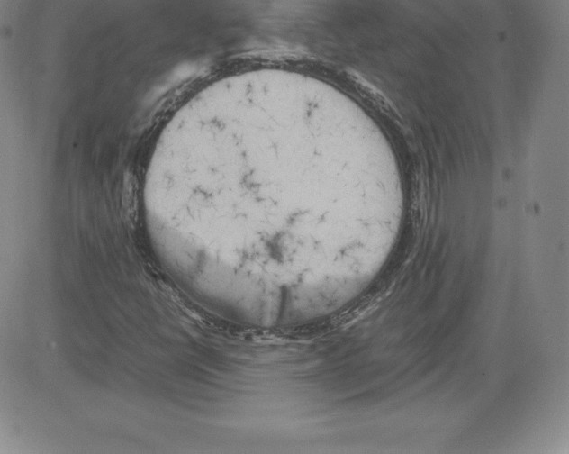 X0000080111398200701051318