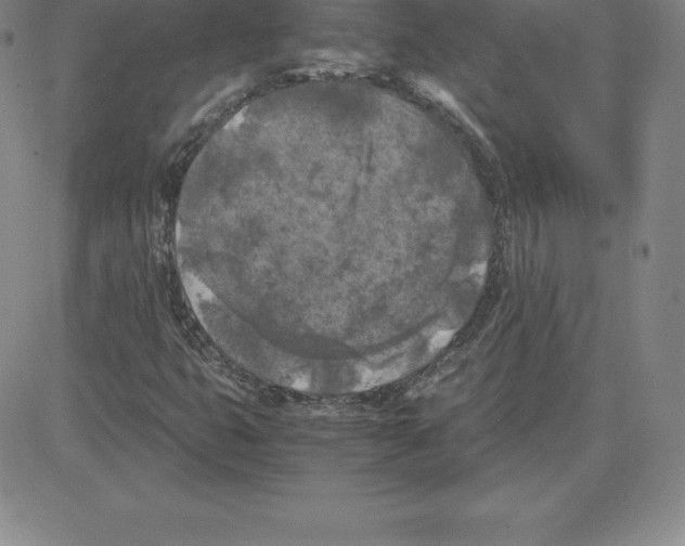 X0000080111399200701051318