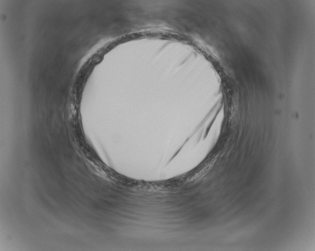 X0000080111400200701051318