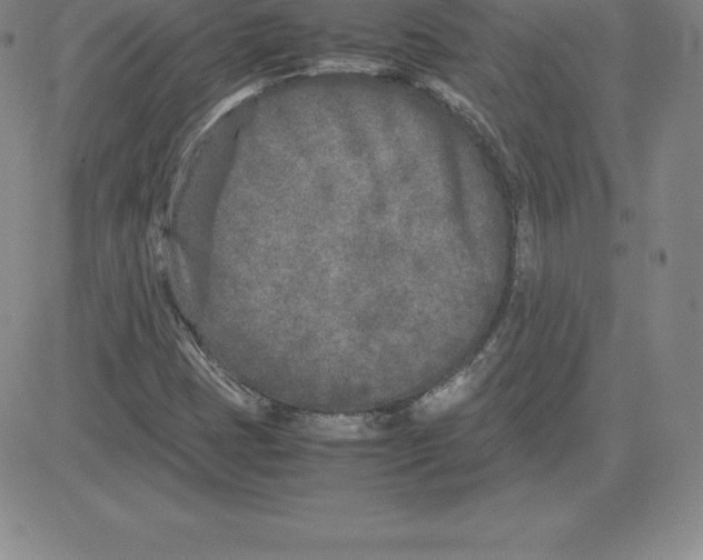 X0000080111401200701051318