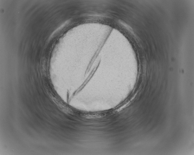 X0000080111403200701051318