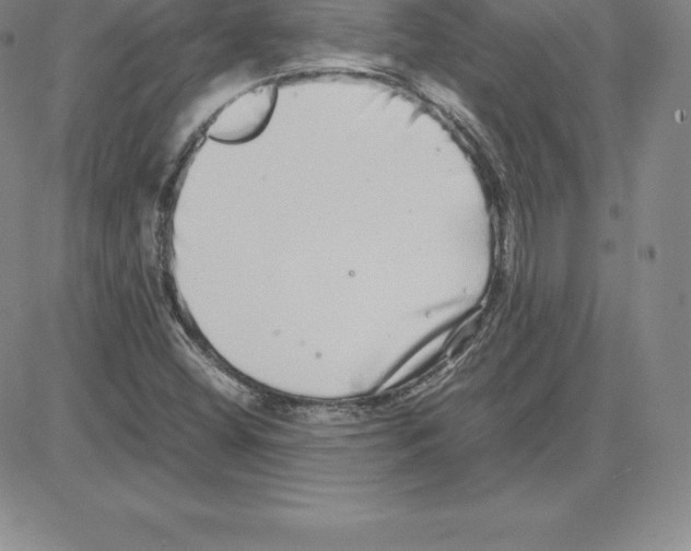 X0000080111404200701051318