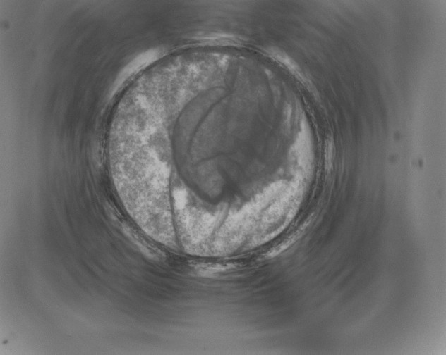 X0000080111405200701051318