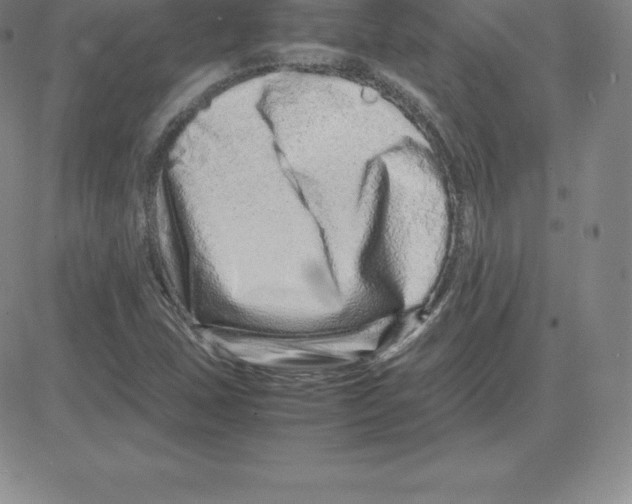 X0000080111407200701051318