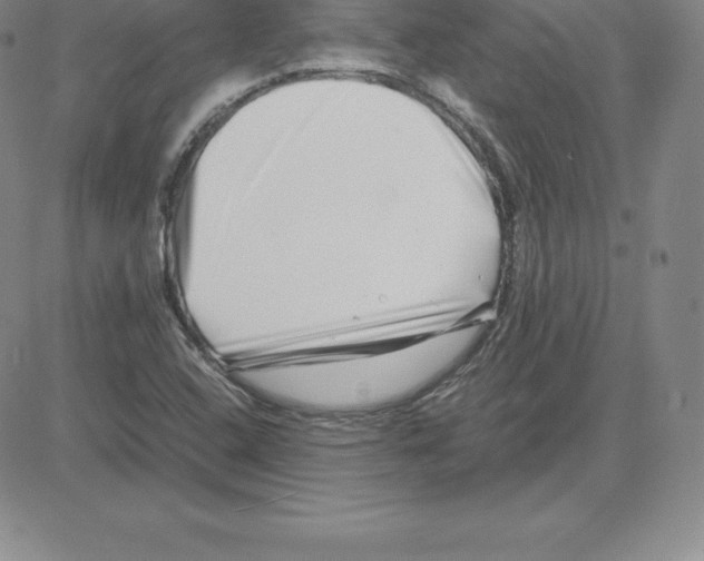 X0000080111408200701051318