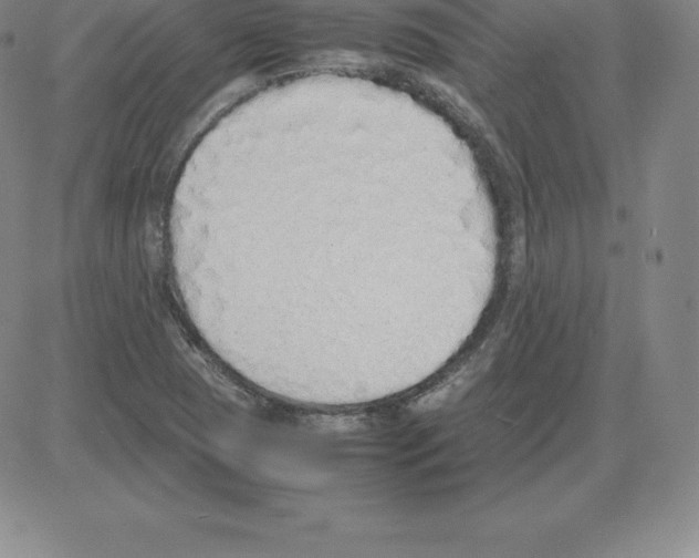 X0000080111409200701051318