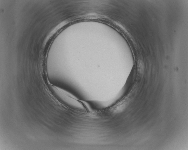 X0000080111410200701051318