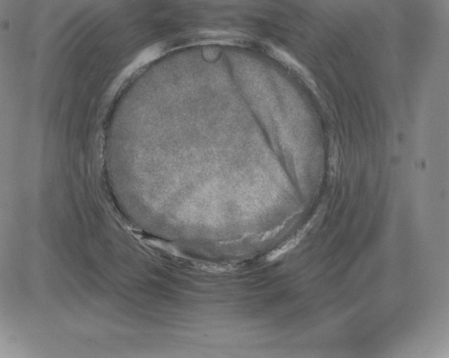 X0000080111411200701051318