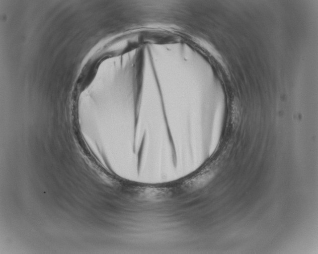 X0000080111412200701051318