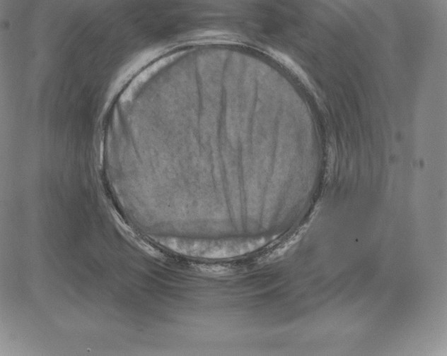 X0000080111413200701051318