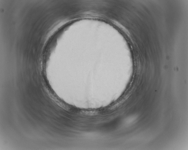 X0000080111415200701051318