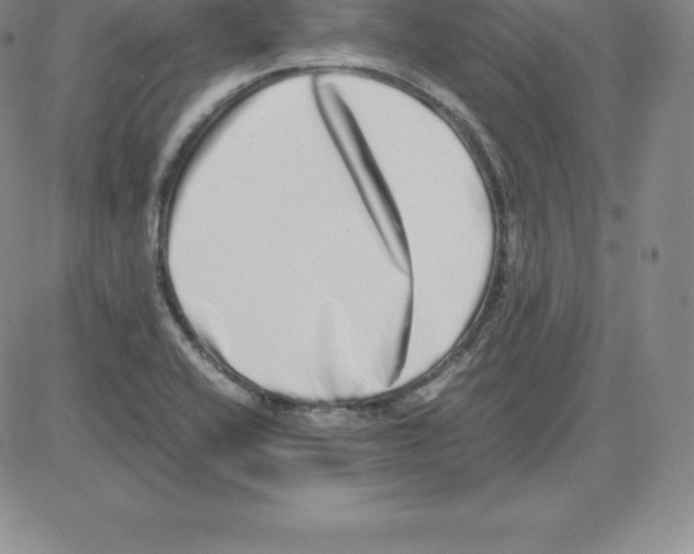 X0000080111416200701051318