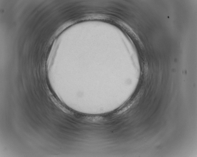 X0000080111417200701051318