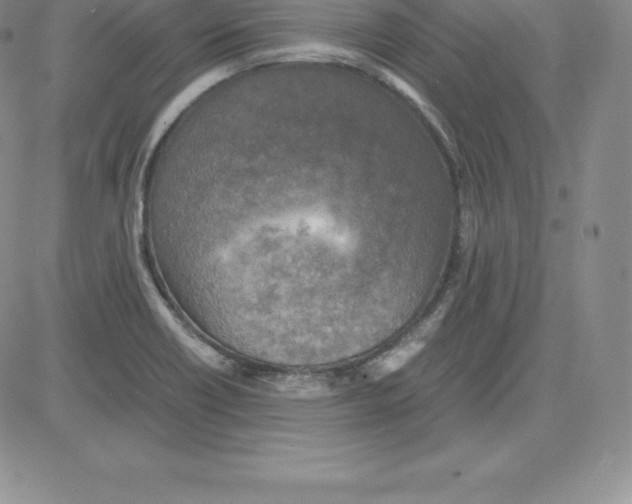 X0000080111418200701051318