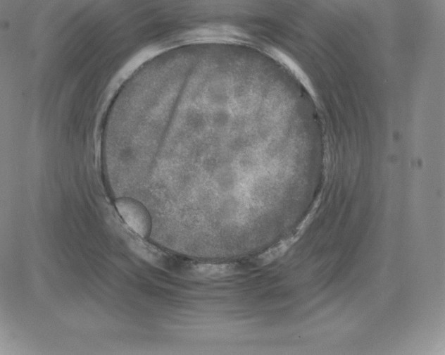 X0000080111419200701051318