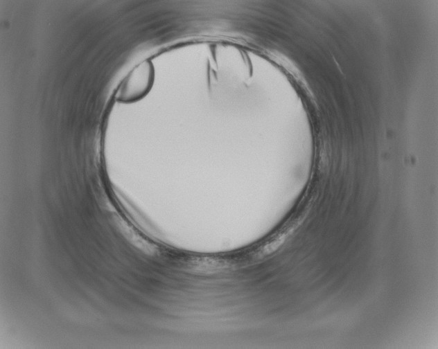 X0000080111420200701051318