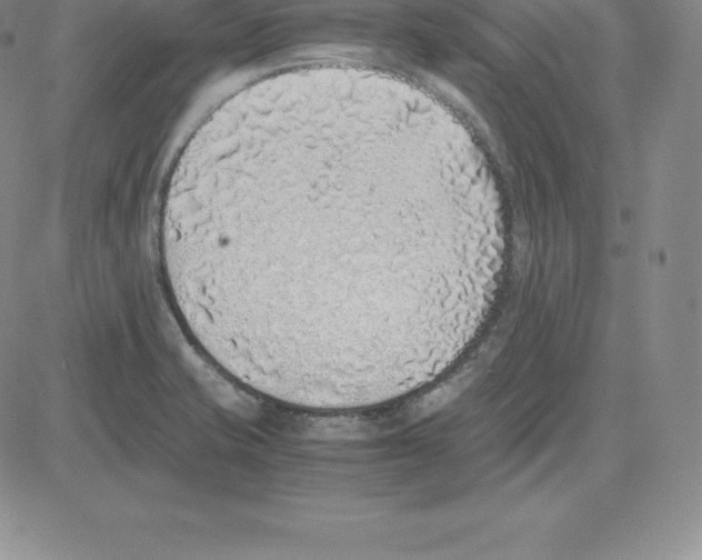 X0000080111421200701051318