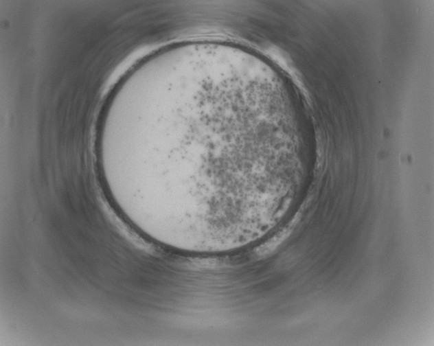 X0000080111422200701051318