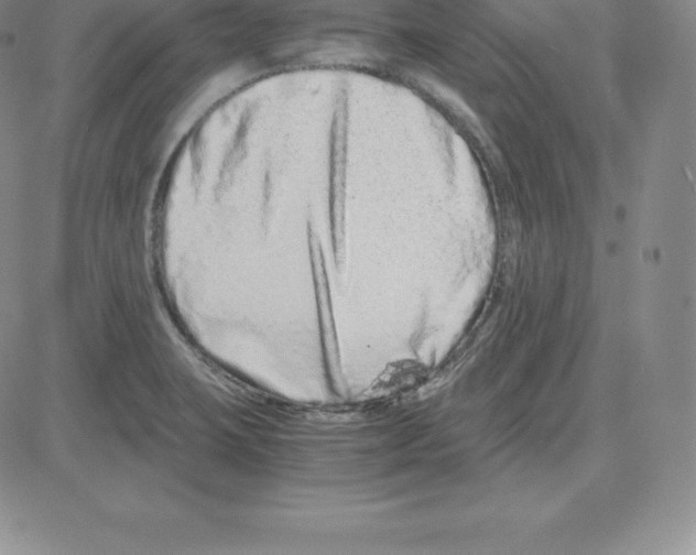 X0000080111423200701051318