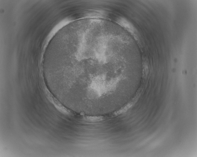 X0000080111427200701051318