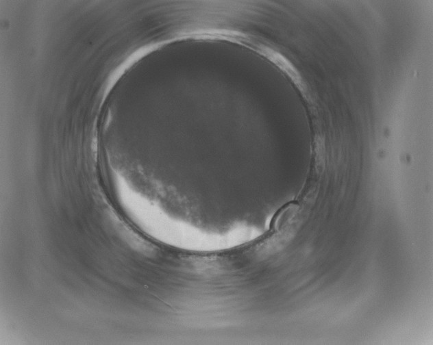 X0000080111428200701051318